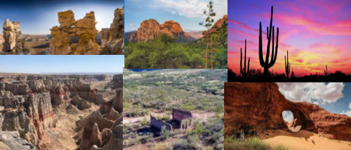 AWI Communities in Arizona